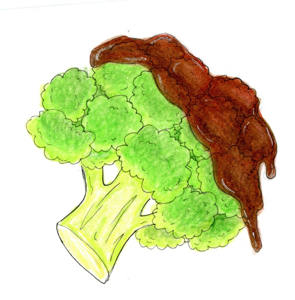 Eine Zeichnung von einem Broccoli, der teilweise mit Schokolade übergossen wurde.